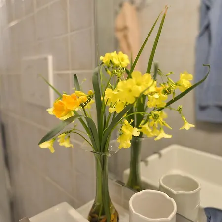 All'ombra Di San Pietro Рим