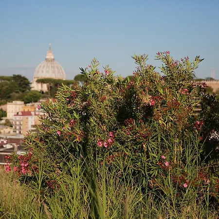 All'ombra Di San Pietro 4* Рим